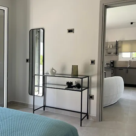 Vilă Mirror